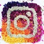 Instagram запустил онлайн-видеотрансляции